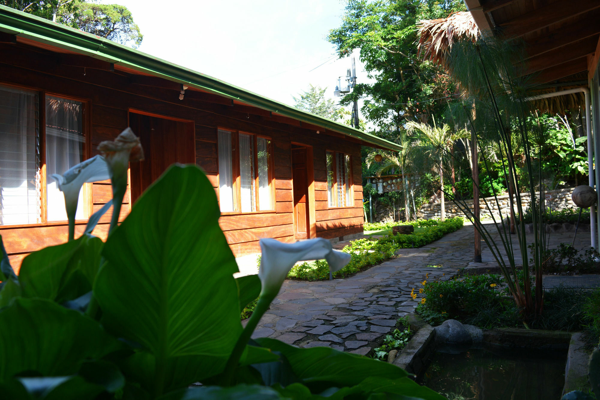 Santa Elena Hostel Resort Monteverde Exterior foto